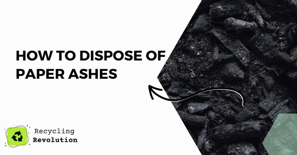 How to Dispose of Paper Ashes Eco Guide