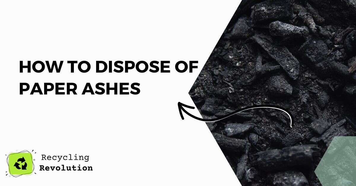 How to Dispose of Paper Ashes Eco Guide