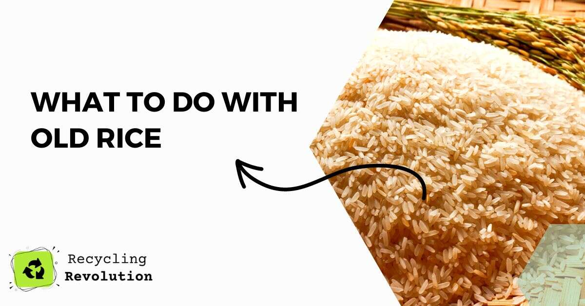 What To Do with Old Rice