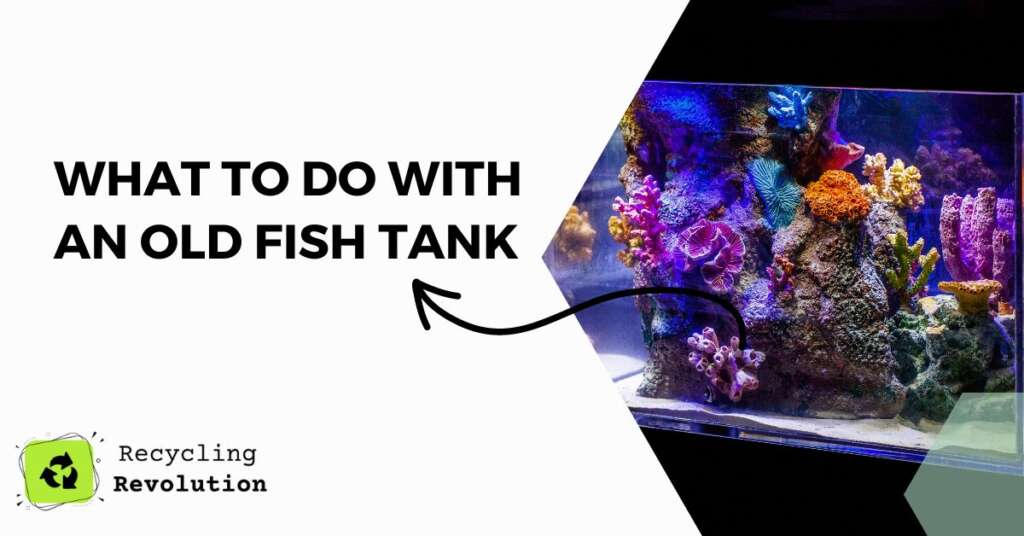 What To Do with an Old Fish Tank Great Ideas