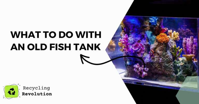What To Do with an Old Fish Tank