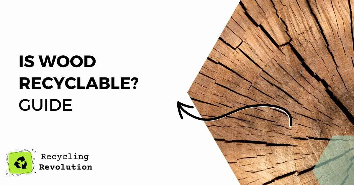 Is Wood Recyclable guide