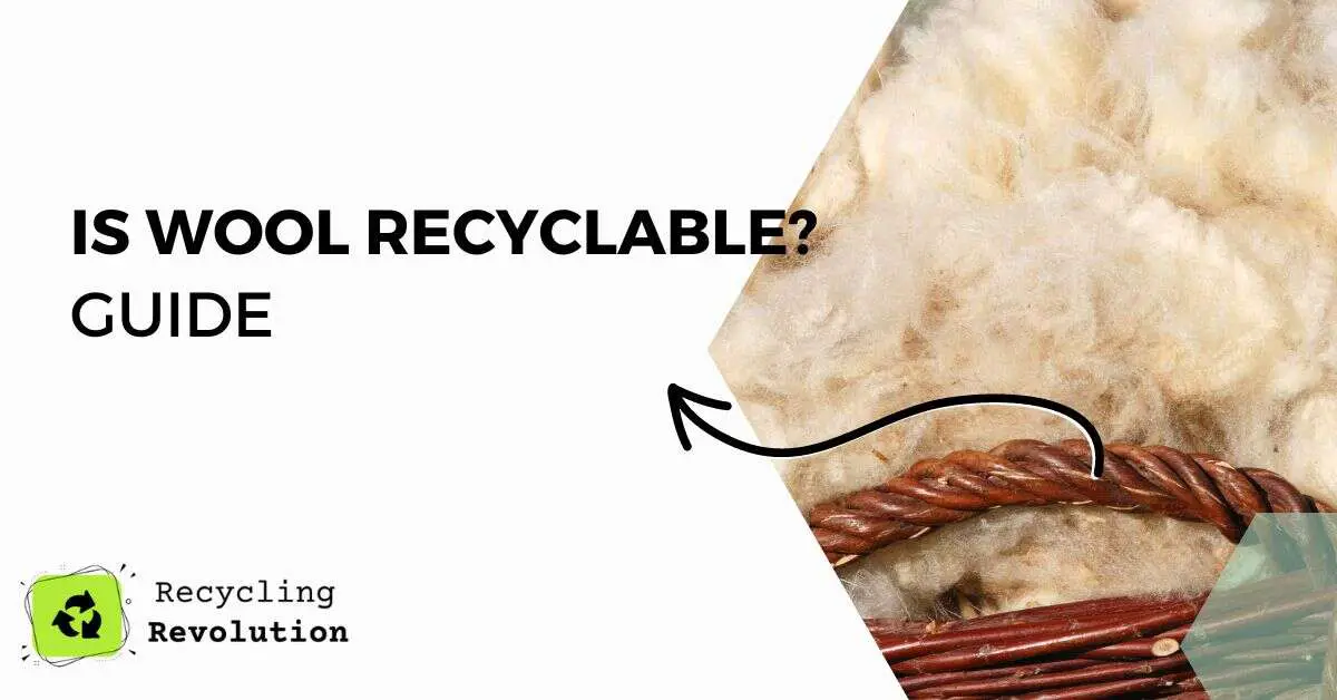 Is Wool Recyclable guide