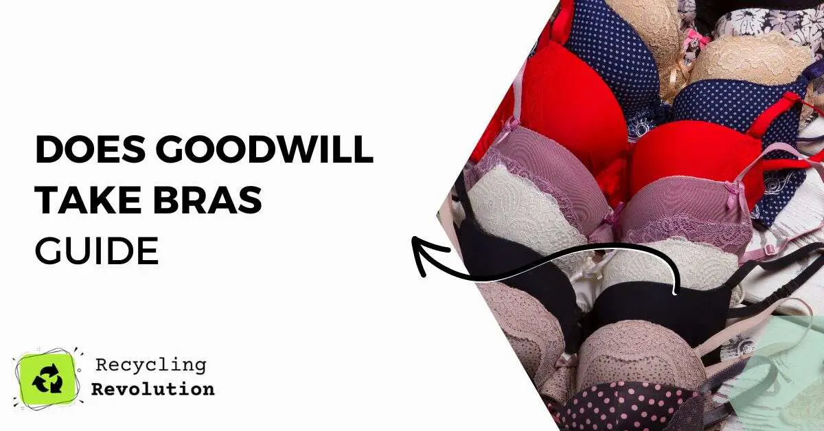 Does Goodwill take bras