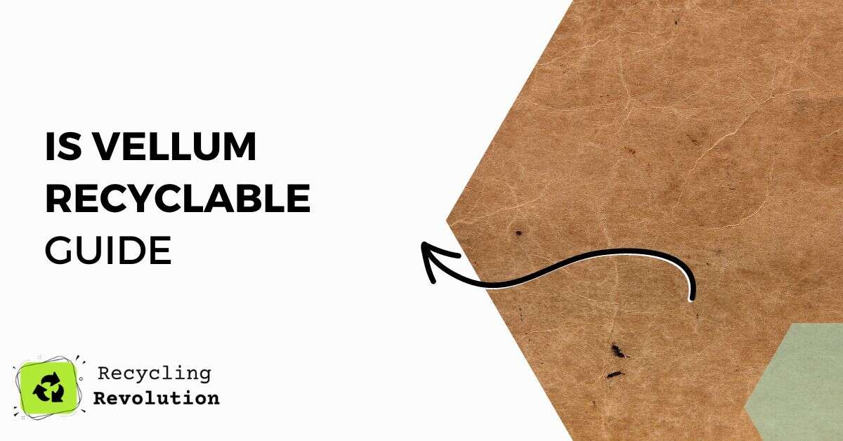 How Is Vellum Recyclable Animal Skin Guide
