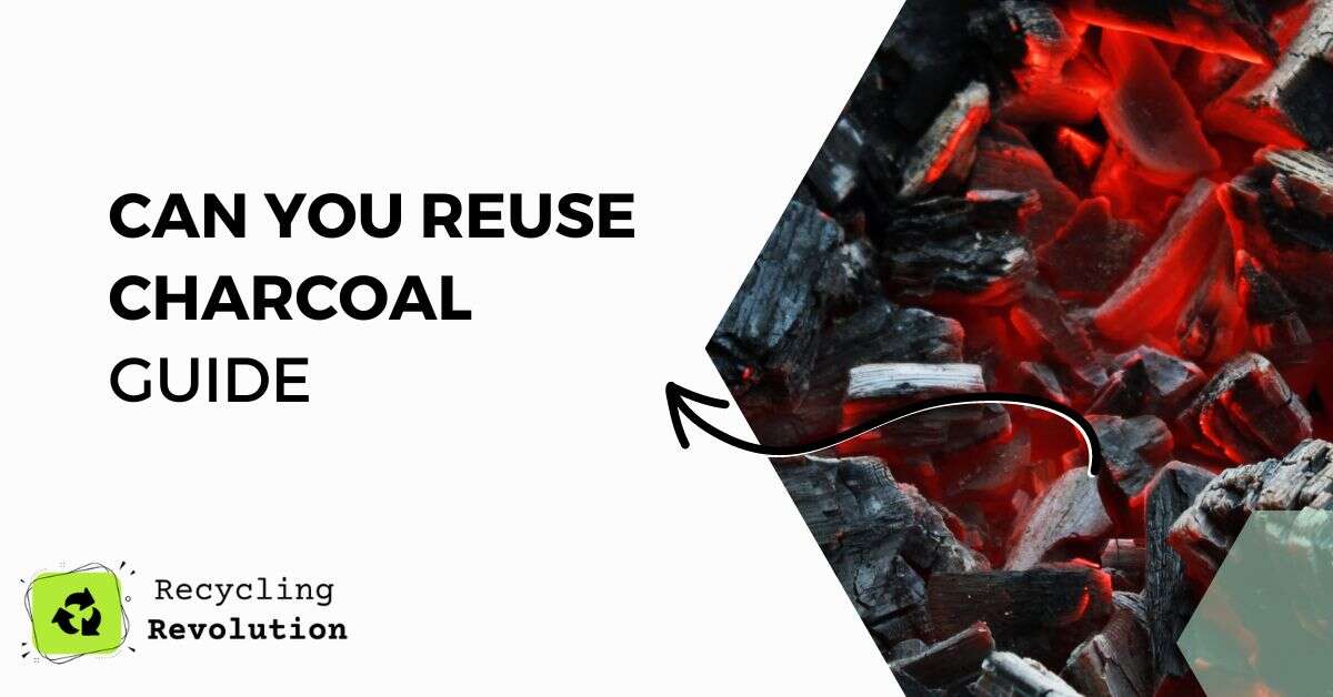 Can You Reuse Charcoal Smart Alternatives