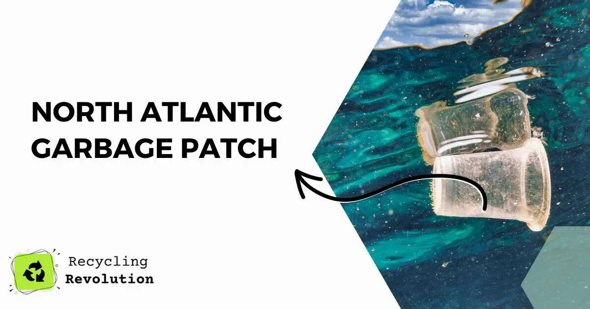 North Atlantic garbage patch
