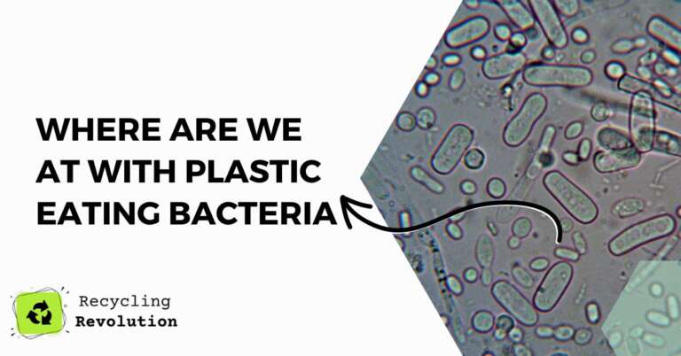 can Plastic eating bacteria help against plastic pollution and micro plastics