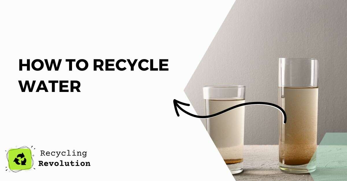 How to Recycle Water Eco Friendly Guide