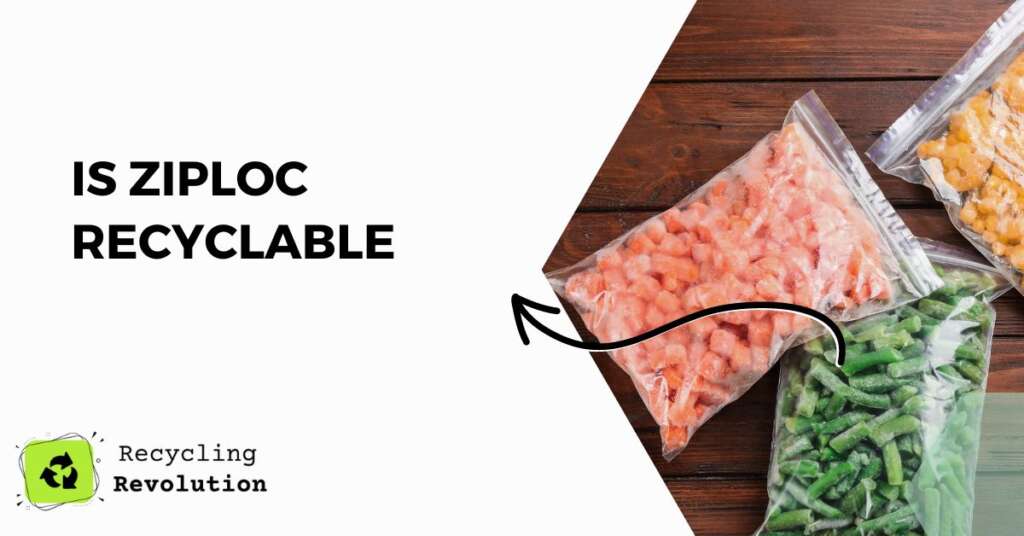 Are Ziploc Bags Recyclable