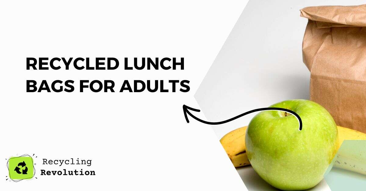 Recycled Lunch Bags For Adults