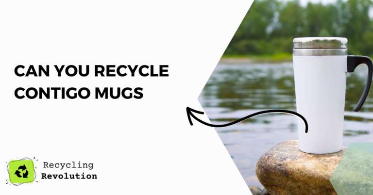 Can You Recycle Contigo Mugs