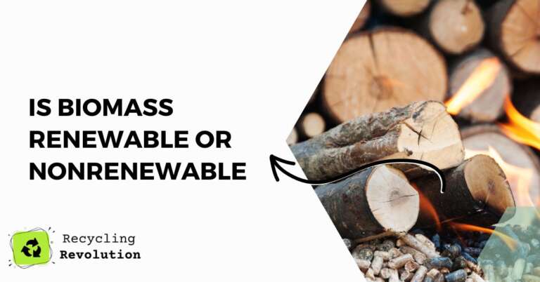 is biomass renewable or nonrenewable