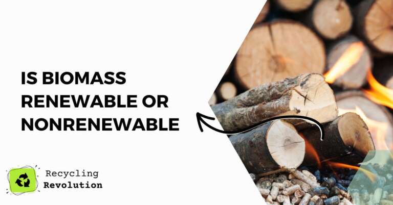 Is Biomass Renewable Or Nonrenewable