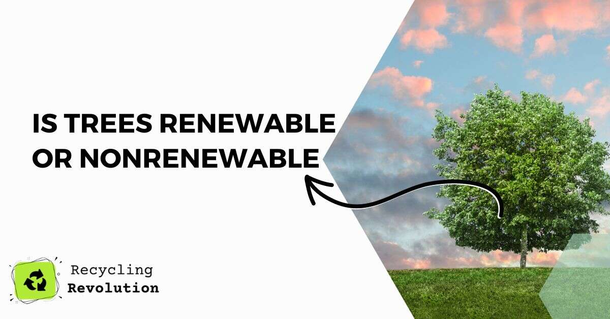 is trees renewable or nonrenewable