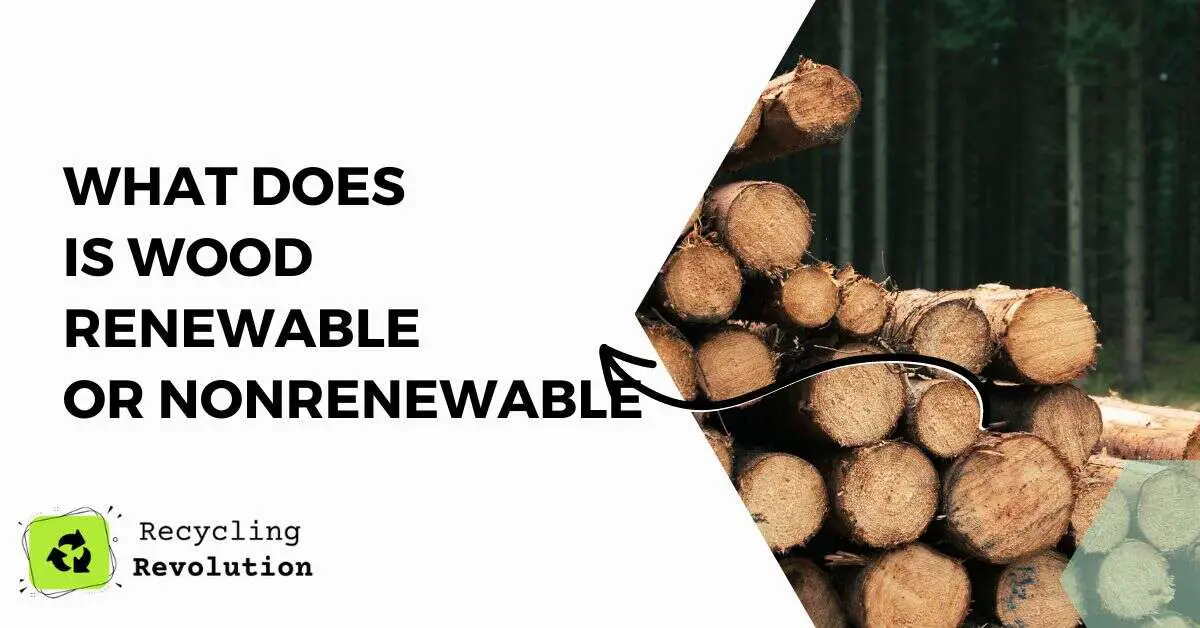 is wood renewable or nonrenewable