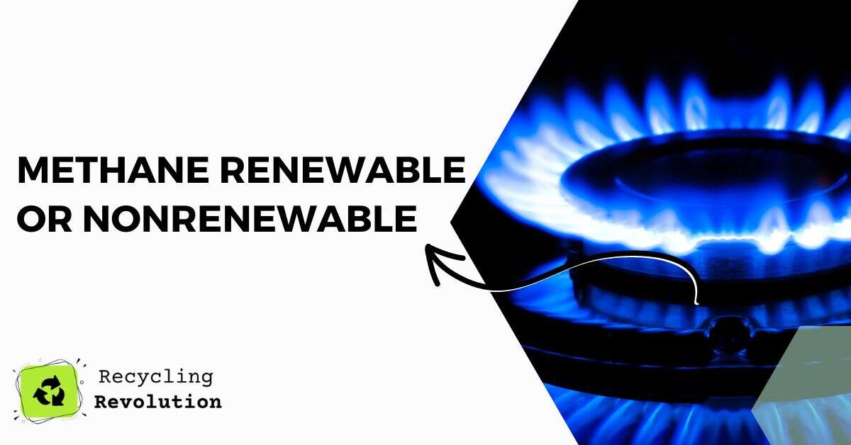 Methane Renewable or Nonrenewable