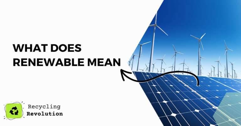 what does renewable mean