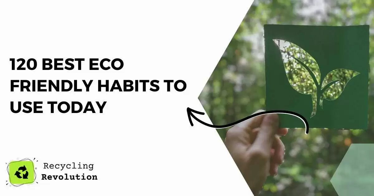 120 Best Eco Friendly Habits To Use Today