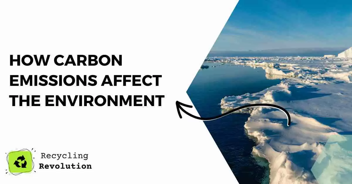 How Carbon Emissions Affect The Environment