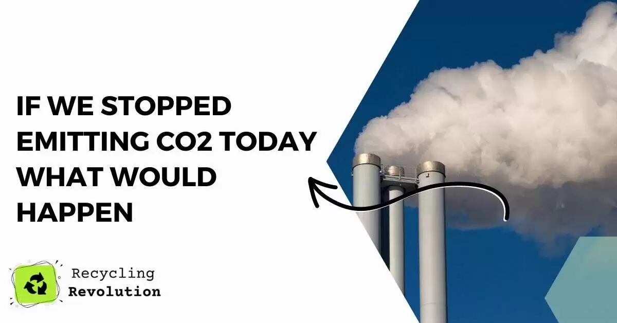 If We Stopped Emitting Co2 Today What Would Happen